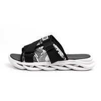 Black and White